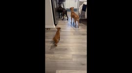 Big Sis Ivy Helping Little Sis Lilly Out