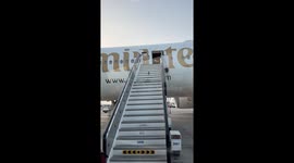 Little Bird Needs a Boarding Pass
