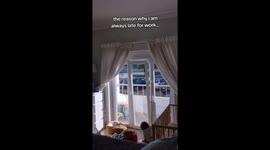 Dogs Repeatedly Open Door