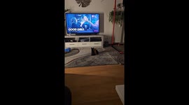 Kittens Cuddle Below TV Set