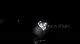 US: Coast Guard Rescues Two People and Two Dogs Near Cat Island