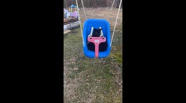 Black Cat Swings in Bucket Seat