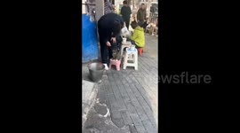 China: The Stubborn Kitten Who Won't Give Up Its Seat