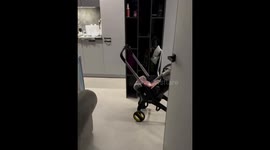 Dog whines while watching crying child in Samara, Russia