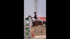 Horse rider crashes into stand after finish in St Petersburg
