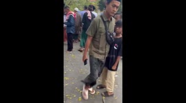 Uprooted tree kills three worshippers during Eid prayers in Indonesia