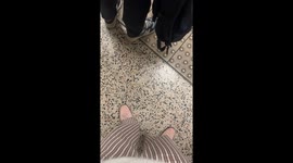 TFL announcer sings to travellers as they wait for tube in London