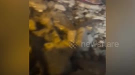 Firefighters save survivors trapped under Myanmar earthquake rubble