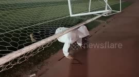 Footballer Shows off Superhuman strength by doing Press Ups with goal balanced on back