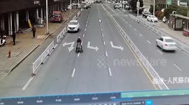 Local rushes over to crashed car only to find a DOG behind the wheel