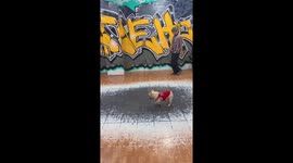 French Bulldog adorably tries to join in with breakdancers
