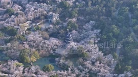 China: Spring travel boom gives China's aviation sector a lift-off