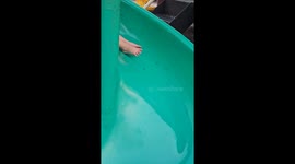 Girl Has Hair-Raising Fun on Slide