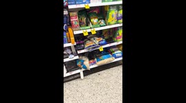 Pigeon Eats From Bird Seed Bag in Store