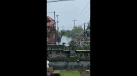 Pig escapes during rain in Bali and gets caught in another village