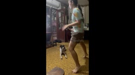 Dog unimpressed by sister's dance in San Pedro, Laguna, Philippines