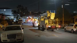 US, Los Angeles: San Pedro Tree Falls Onto Cars Leads To Power Outage