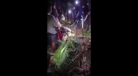 Missing grandmother, 66, found inside python's belly in Indonesia