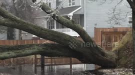 Canada: Ice storm brings devastation to Innisfil