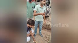 Social organisation treatmented a accident dog in Shahdol, Madhya Pradesh