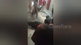 Social organisation rescued two cow  got stuck in a small open drain in Shahdol, Madhya Pradesh