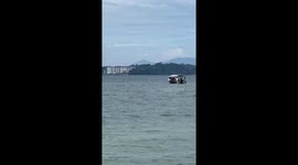 Crocodile spotted swimming in the sea near tourist area in Port Dickson, Malaysia