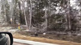 Canada: Ice storm brings damage to Innisfil