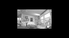 Blink camera spots a phantom entity in the witching hour