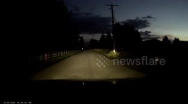 Car nearly misses a Deer but brakes in time to let it jump in front safely