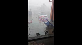 Insanely strong gusts of wind topple chairs and challenge sturdy tree