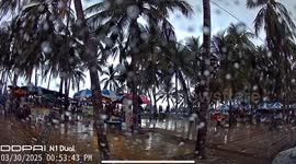 Palm tree collapses on Thai beach narrowly missing tourist