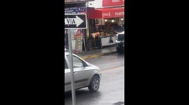 Sneaky Dog Eats Roasted Pig