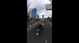 Pet dogs have customised basket to cruise on the back of motorcycle