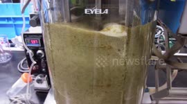 Japan: An Answer to Green Energy in Hydrogen-Generating Marine Microbes