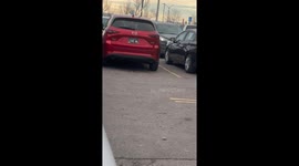 Personalized License Plate Has Hidden Message