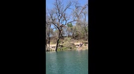 Zilker Park Rope Swing Fail Dumps Man In Water