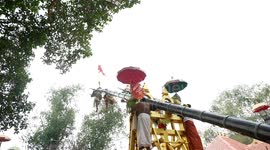 Hundreds of Babies Lifted in 40 feet cranes during this temple ritual