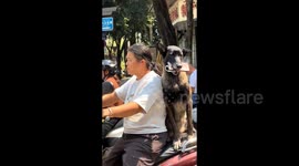 Biker listens to music as her dog sits on back seat holding her phone
