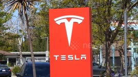 US: Tesla's Q1 sales plunge to 3-year low