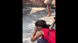 Monkey leaps to protect owner during mock attack in Etah, Uttar Pradesh, India