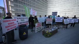 Belgium: Environmentalists protest pesticide use in Brussels