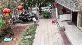 Smart dog helps children fetch ball from rock waterfall fountain in China