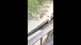 Woman Jumps Into River To Save Cat