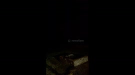 Tornado Blows Through Southern Indiana Nighttime
