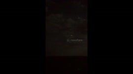 Sea Bird Illuminated By Cruise Ship Dives Into Water