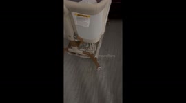 Newborn Makes Creaking Sound In Sleep