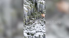Severe ice storm turns northern Michigan into a frozen wonderland