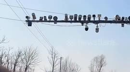 Junction packed with cameras stuns residents in China