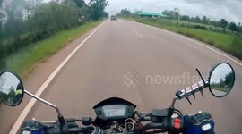 Shocked motorbike rider pulls over when snake appears on handlebars