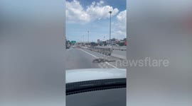 Large monitor lizard holds up traffic to cross road